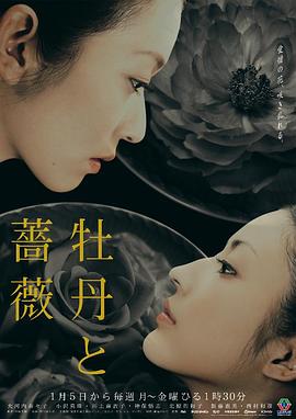 牡丹与玫瑰 第58集
