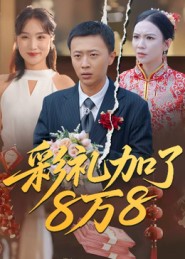 彩礼加了8万8 第30集