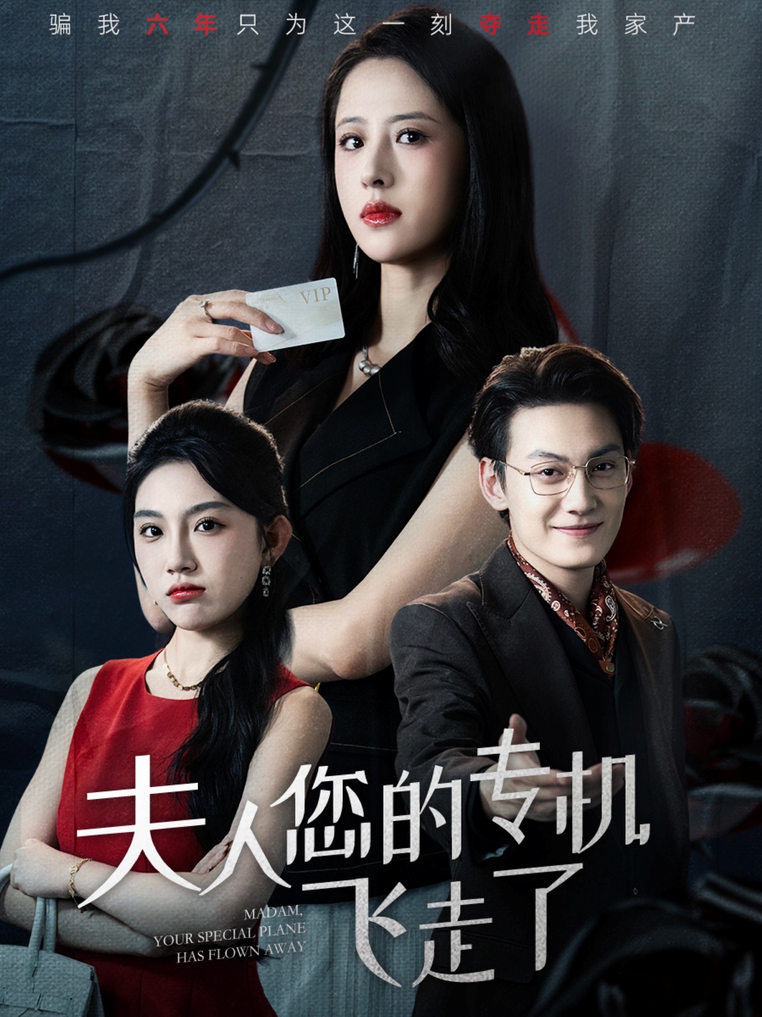 夫人您的专机飞走了 第01集