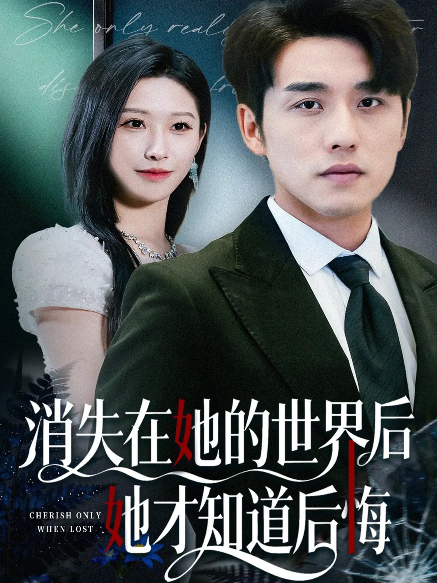 消失在她的世界后她才知道后悔 第12集