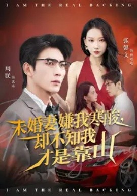 未婚妻嫌我寒酸却不知我才是靠山 第20集