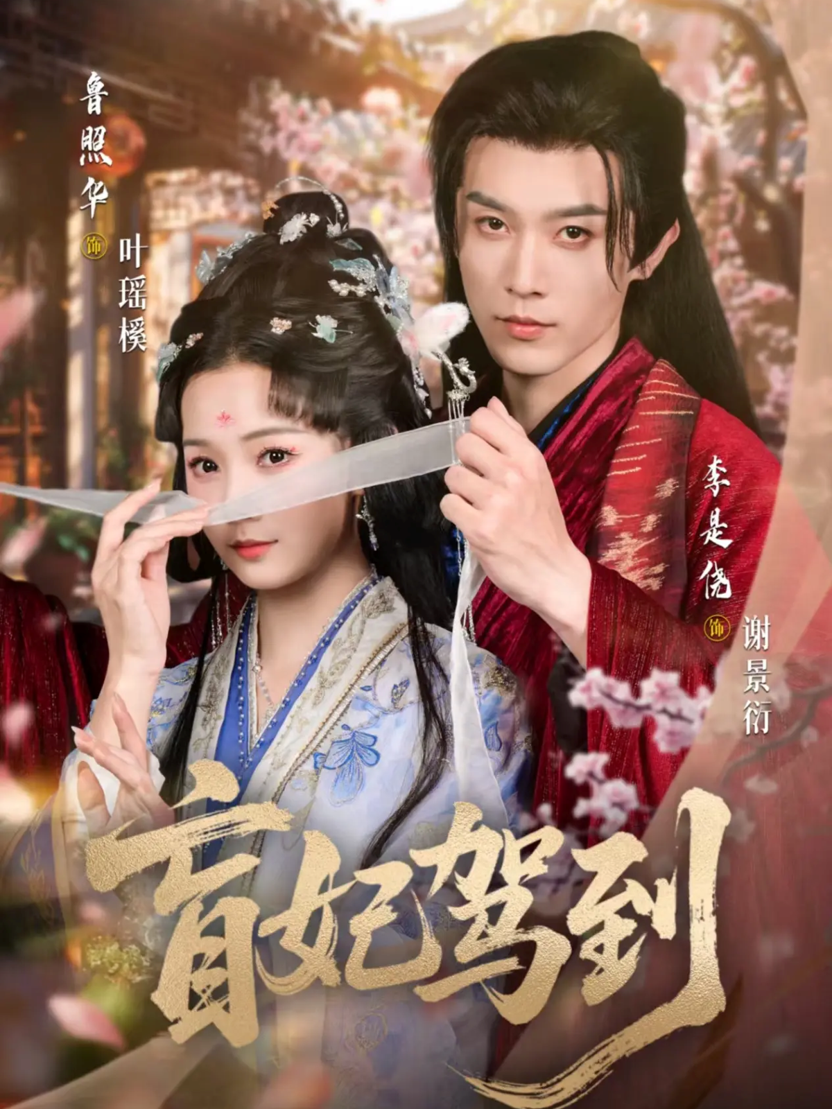 盲妃驾到 第58集