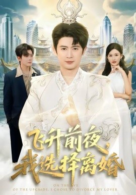 飞升前夜，我选择离婚 第64集