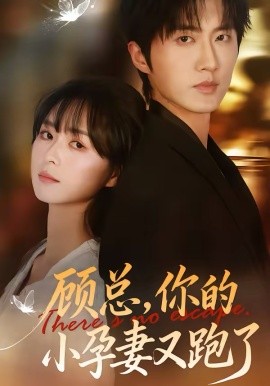 顾总，你的小孕妻又跑了 第31集