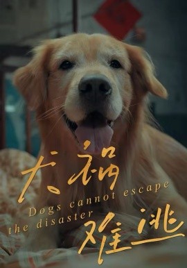 犬祸难逃 第01集