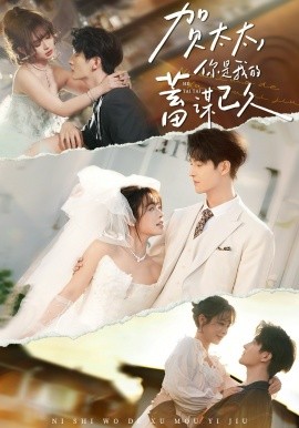 贺太太，你是我的蓄谋已久(全集)