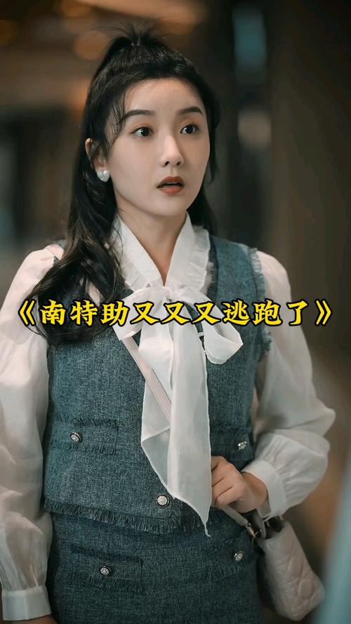 南特助又又又逃跑了 第21-40集